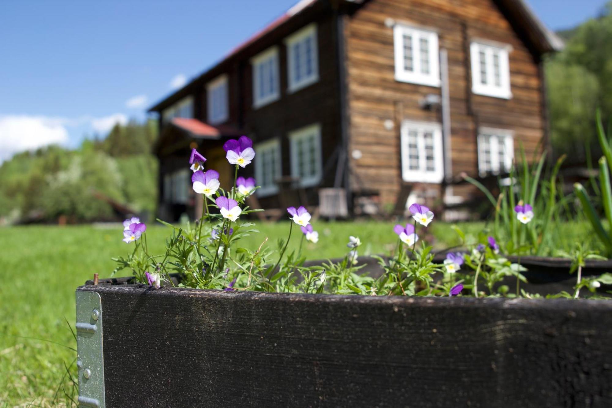 Sevletunet B&B And Cabins Rodberg エクステリア 写真