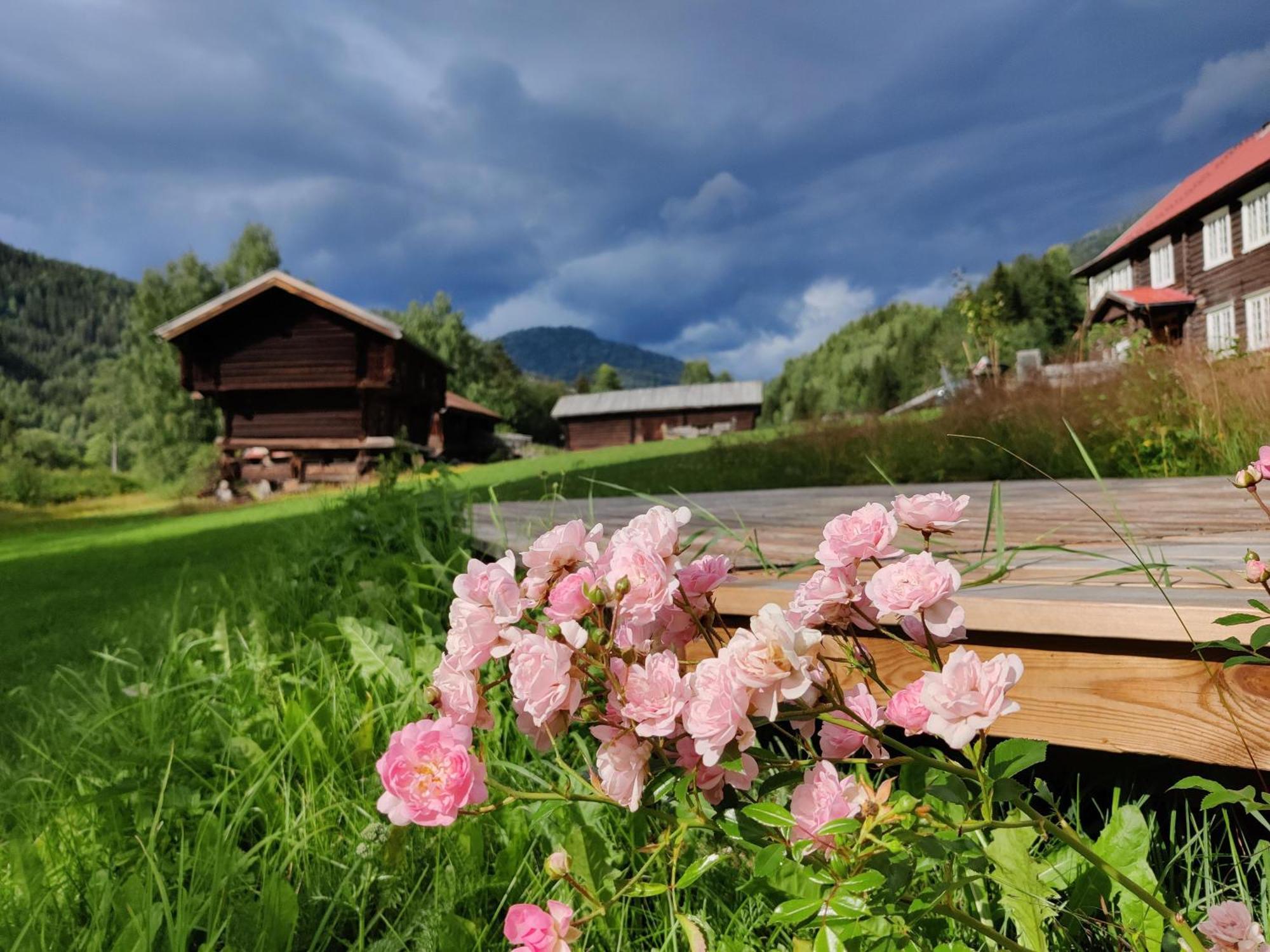 Sevletunet B&B And Cabins Rodberg エクステリア 写真